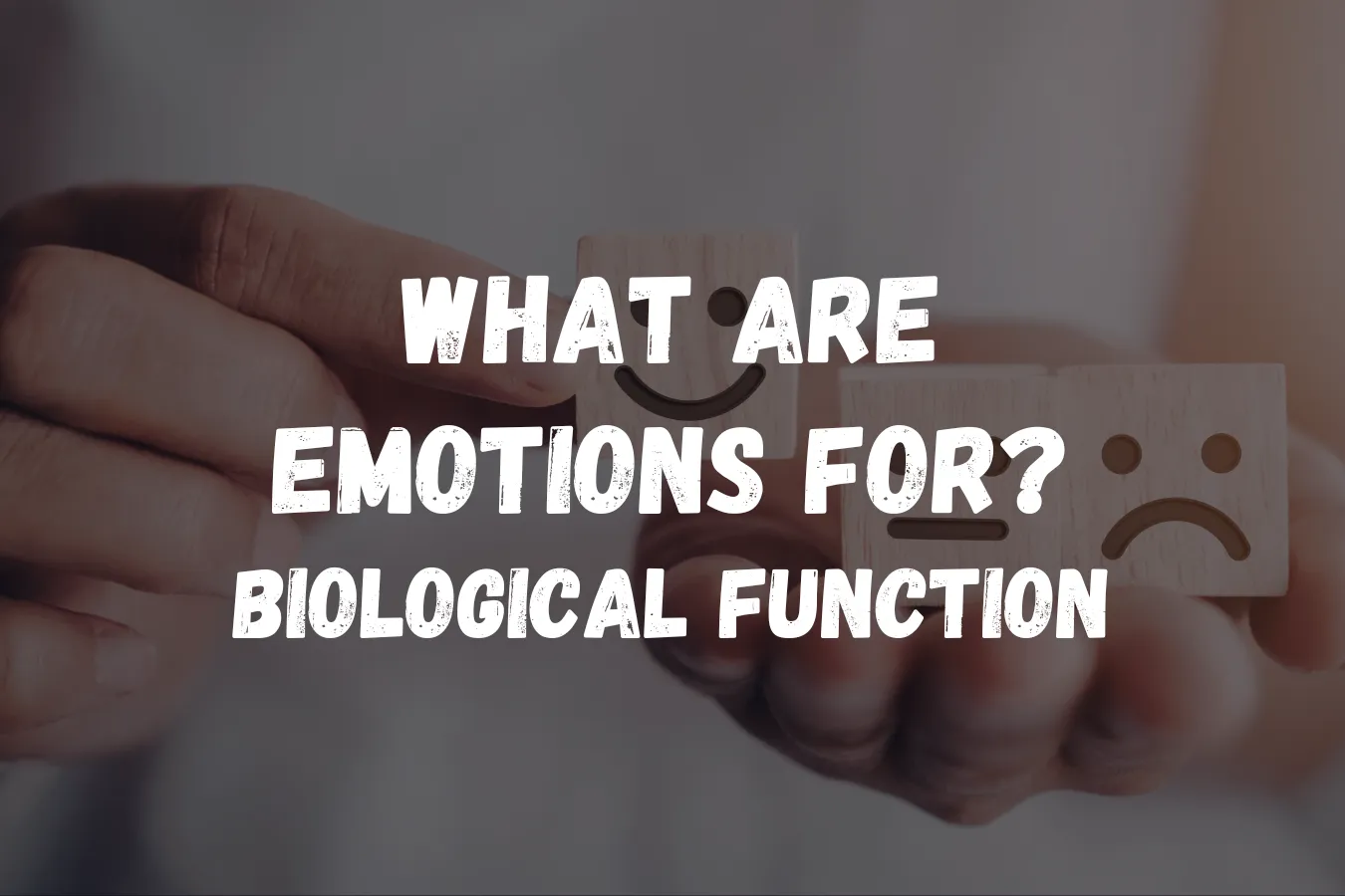 What Are Emotions For Biological Function